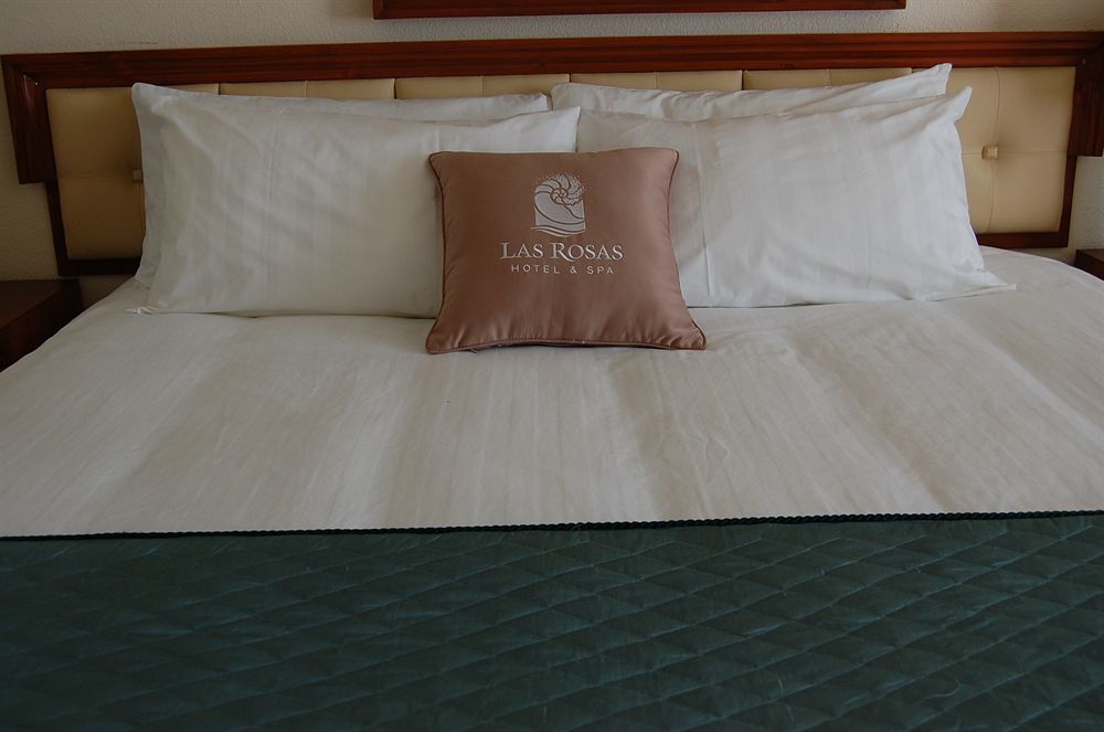 Hotel Las Rosas & Spa エンセナダ エクステリア 写真